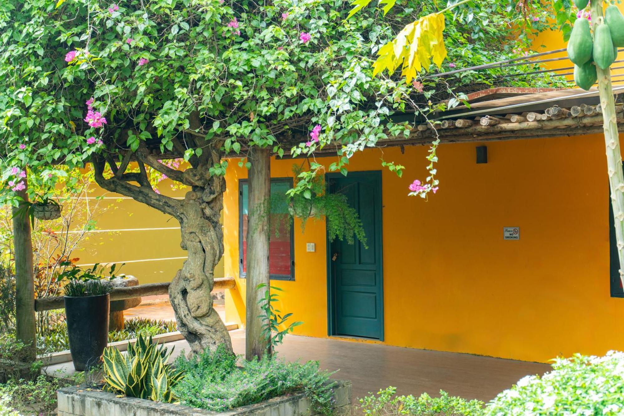 Greenfield Farmstay Vung Tau Ba Ria Luaran gambar